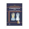 endodoncja